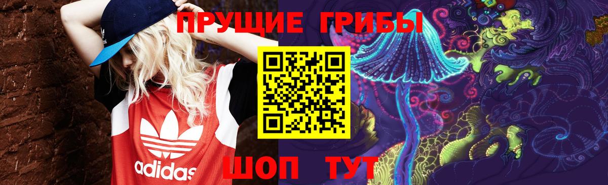 Донской  Псилоцибиновые грибы Cubensis  Псилоцибиновые грибы Psilocybine cubensis  Вход с VPN 