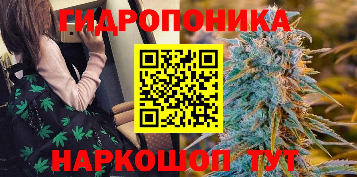 Канабис SATIVA & INDICA Донской